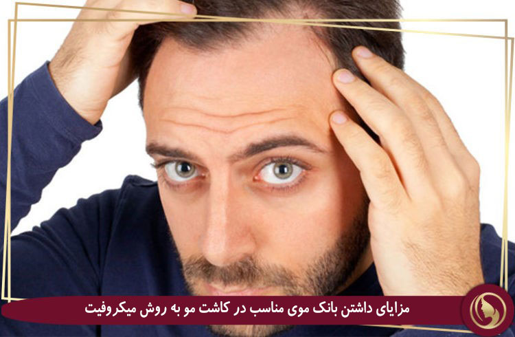بانک مو