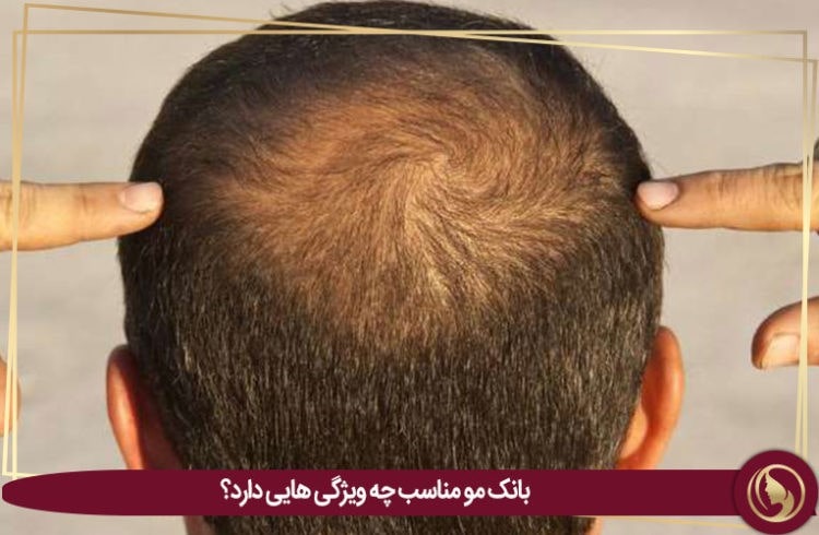 بانک مو