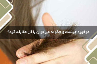 موخوره چیست و چگونه می توان با آن مقابله کرد؟