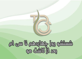 شستشوی روز چهاردهم تا سی ام بعد از کاشت مو