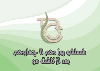 شستشوی روز دهم تا چهاردهم بعد از کاشت مو